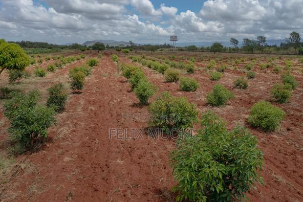 50by100 Plot on Sale Emali Makueni - thumbnail 2