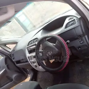 Toyota Ractis 2009 Silver