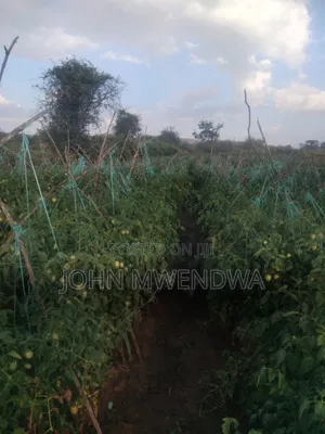 Selling a 1 Acre Parcel of Agricultural Land at Kithimani