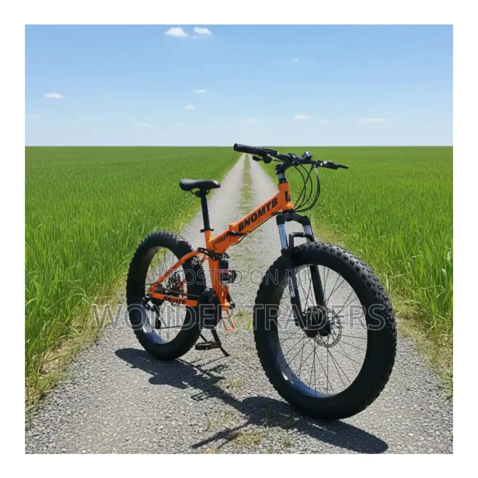 Foldable Fat Bike With Dual Suspension