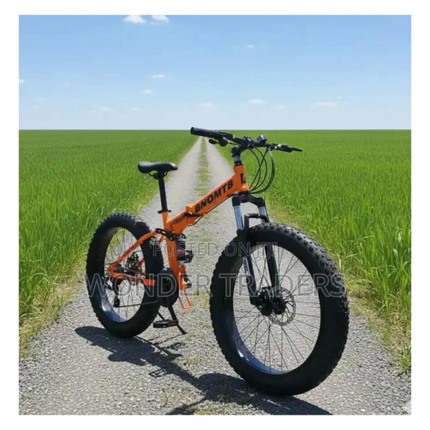 Flat Bike/ Foldable Fat Bike With Dual Suspension