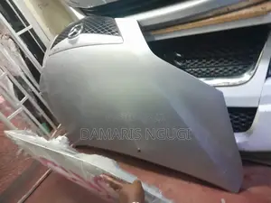 Mazda Demio Bonnet 2005