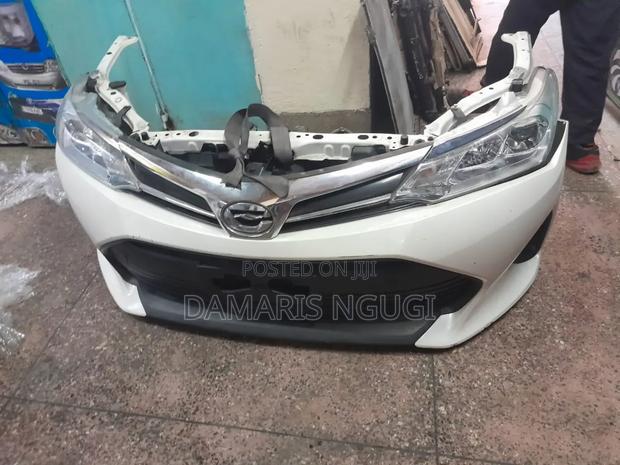 Auris Nosecut 2013/2014 Model