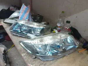 Filder Xenon Headlights 2010