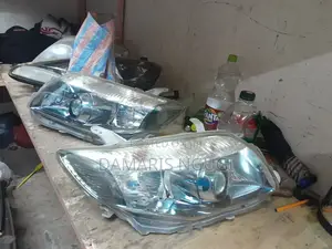 Filder Xenon Headlights 2010