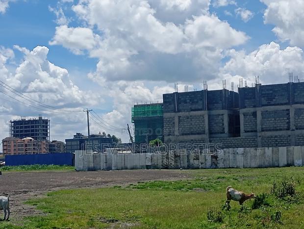 Half an Commercial Plot for Sale in Syokimau - thumbnail 5