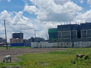 Quarter Plot 100*100 Plot for Sale in Syokimau