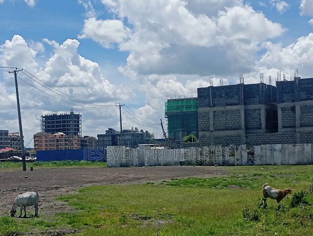 Quarter Plot 100*100 Plot for Sale in Syokimau - thumbnail 3