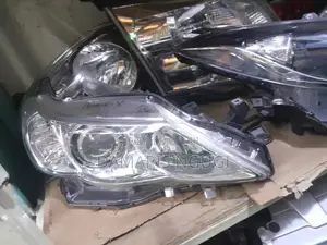 Mark X 2010 Headlights Xenon
