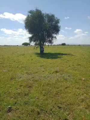 11 Plots for Sale in Acacia, Kitengela With Scenic Views