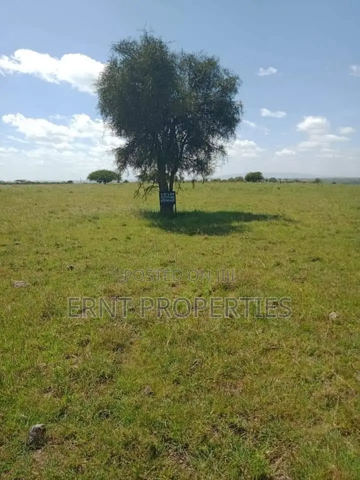 11 Plots for Sale in Acacia, Kitengela With Scenic Views