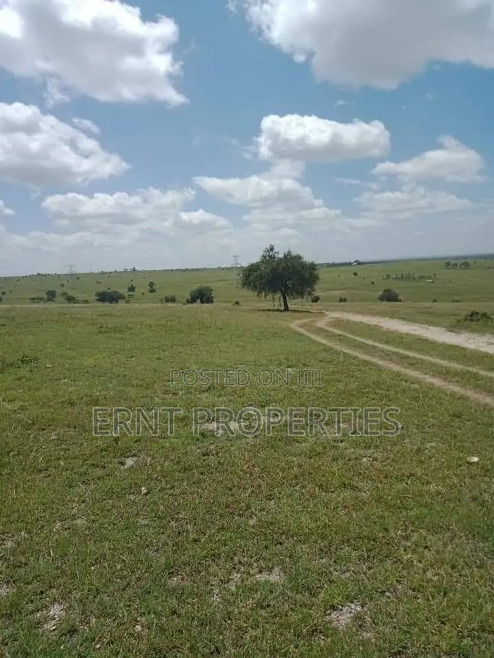 11 Plots for Sale in Acacia, Kitengela With Scenic Views