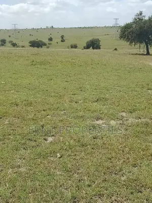 11 Plots for Sale in Acacia, Kitengela With Scenic Views