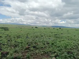 400 Acres Oromet -Tinka Prime Ranch