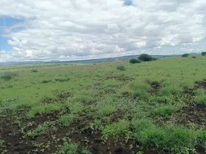 400 Acres Oromet -Tinka Prime Ranch