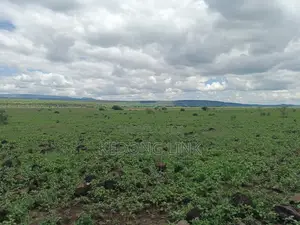 400 Acres Oromet -Tinka Prime Ranch