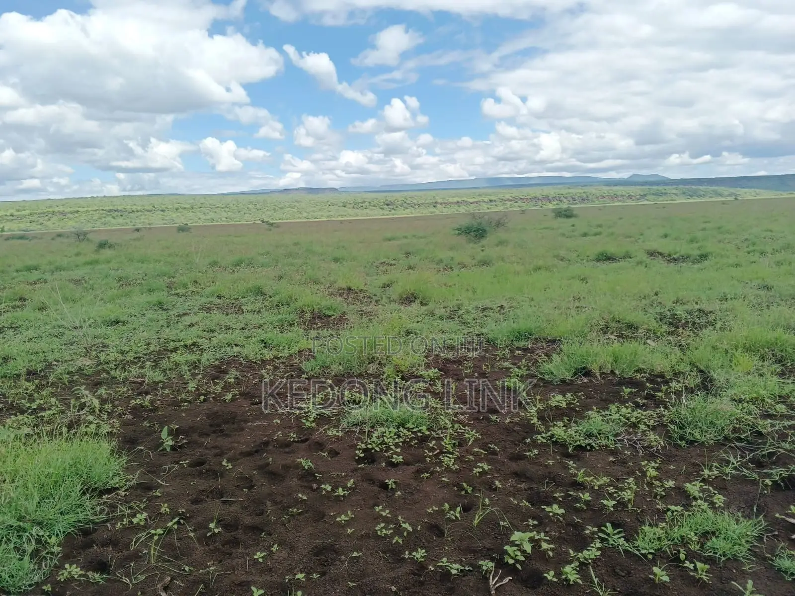 land for sale — image 1 of 7