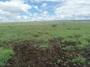 400 Acres Oromet -Tinka Prime Ranch