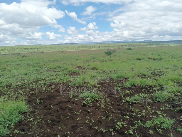 400 Acres Oromet -Tinka Prime Ranch