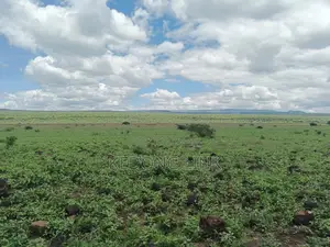 400 Acres Oromet -Tinka Prime Ranch