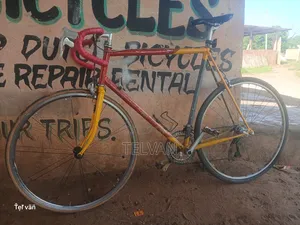 Vintage Roadbike