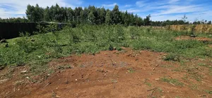 Prime 1⁄4 Plots for Sale in Annex Bethel Eldoret