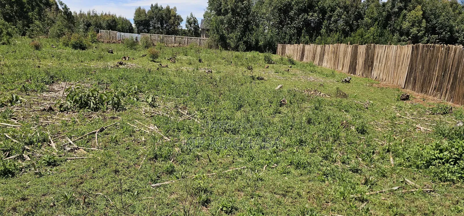 Prime 1⁄4 Plots for Sale in Annex Bethel Eldoret