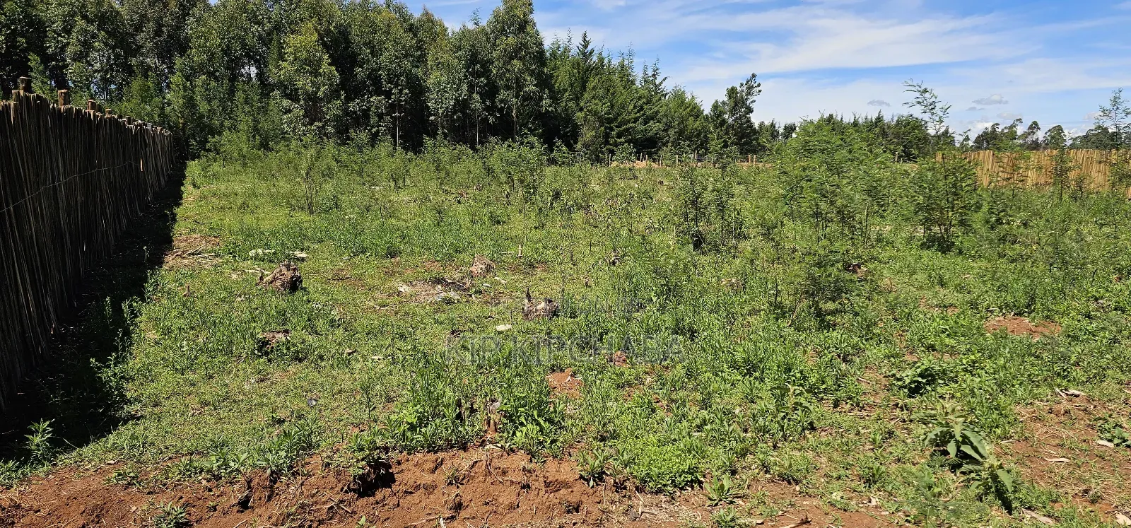 Prime 1⁄4 Plots for Sale in Annex Bethel Eldoret