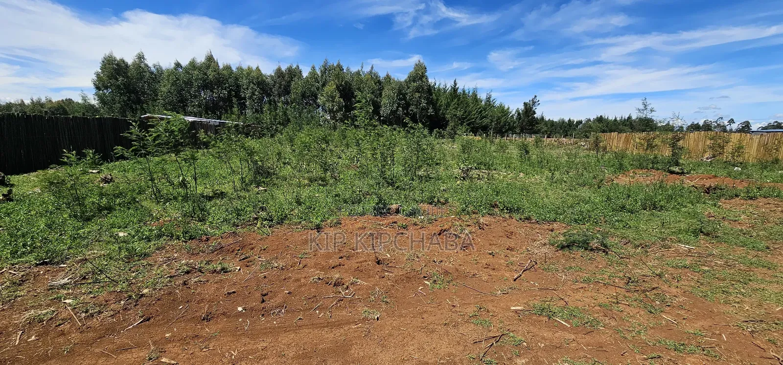 Prime 1⁄4 Plots for Sale in Annex Bethel Eldoret