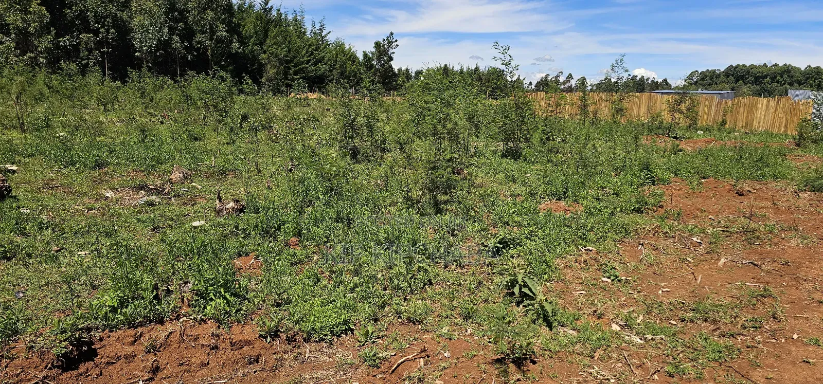 Prime 1⁄4 Plots for Sale in Annex Bethel Eldoret