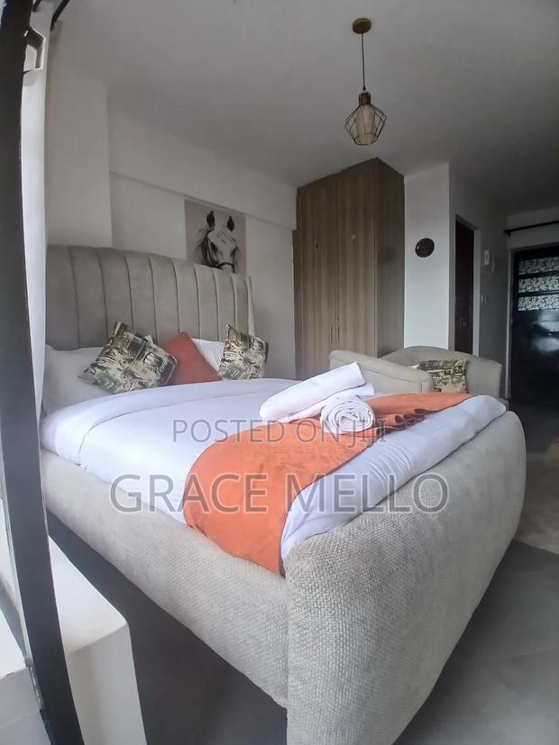Furnished Studio Apartment in Grand Mid Town, Ngara for rent - thumbnail 2