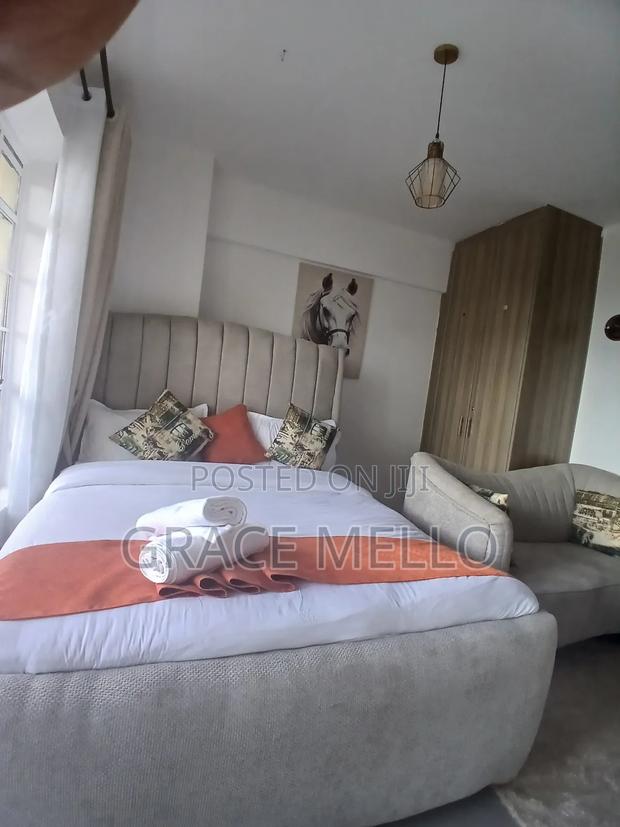 Furnished Studio Apartment in Grand Mid Town, Ngara for rent - thumbnail 3