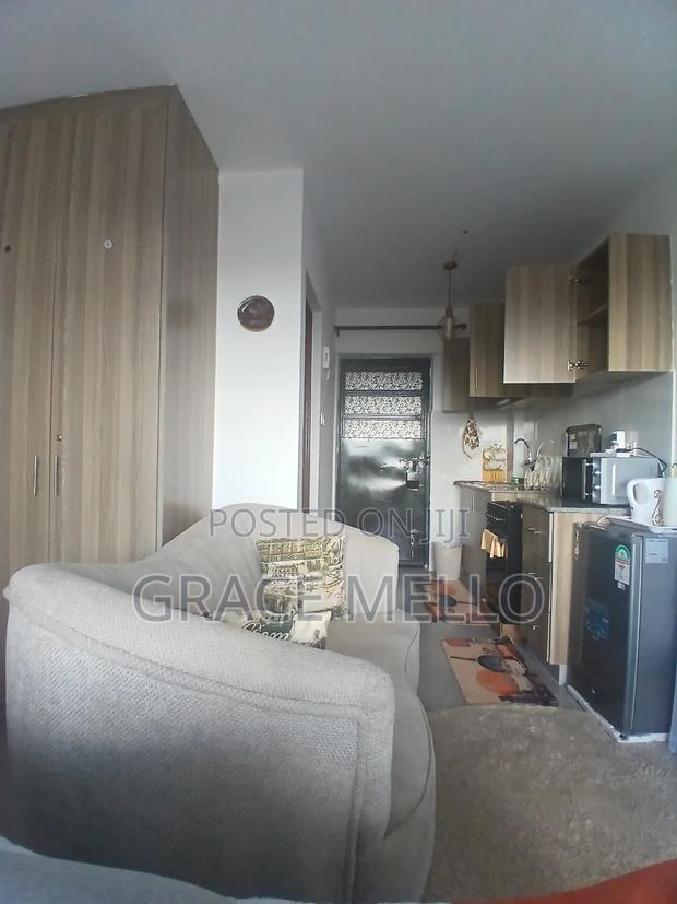 Furnished Studio Apartment in Grand Mid Town, Ngara for rent - thumbnail 4