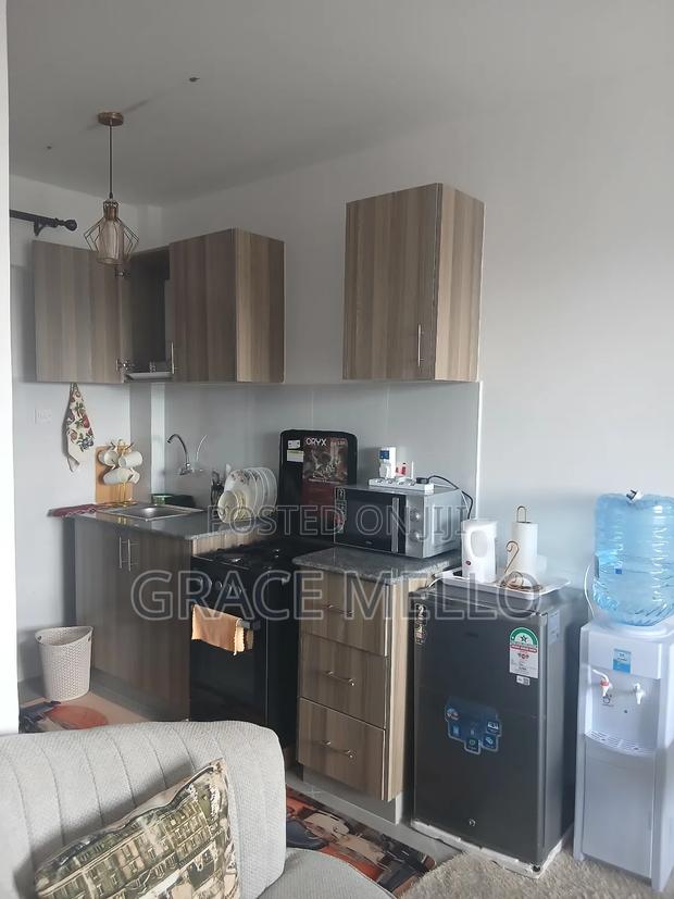 Furnished Studio Apartment in Grand Mid Town, Ngara for rent - thumbnail 6