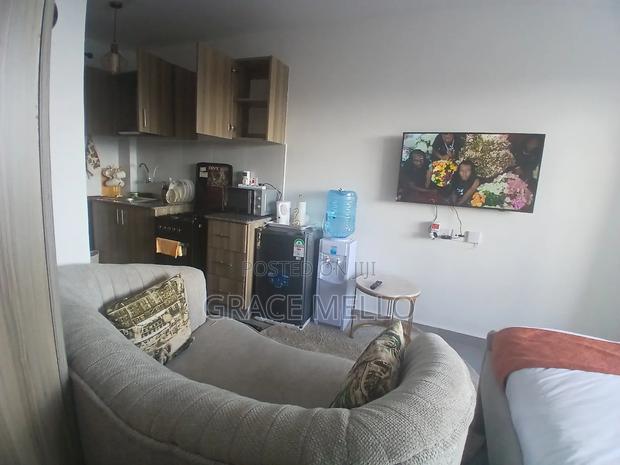 Furnished Studio Apartment in Grand Mid Town, Ngara for rent - thumbnail 7