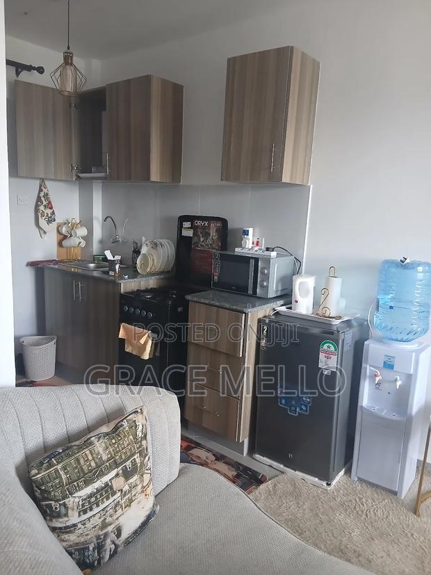 Furnished Studio Apartment in Grand Mid Town, Ngara for rent - thumbnail 9