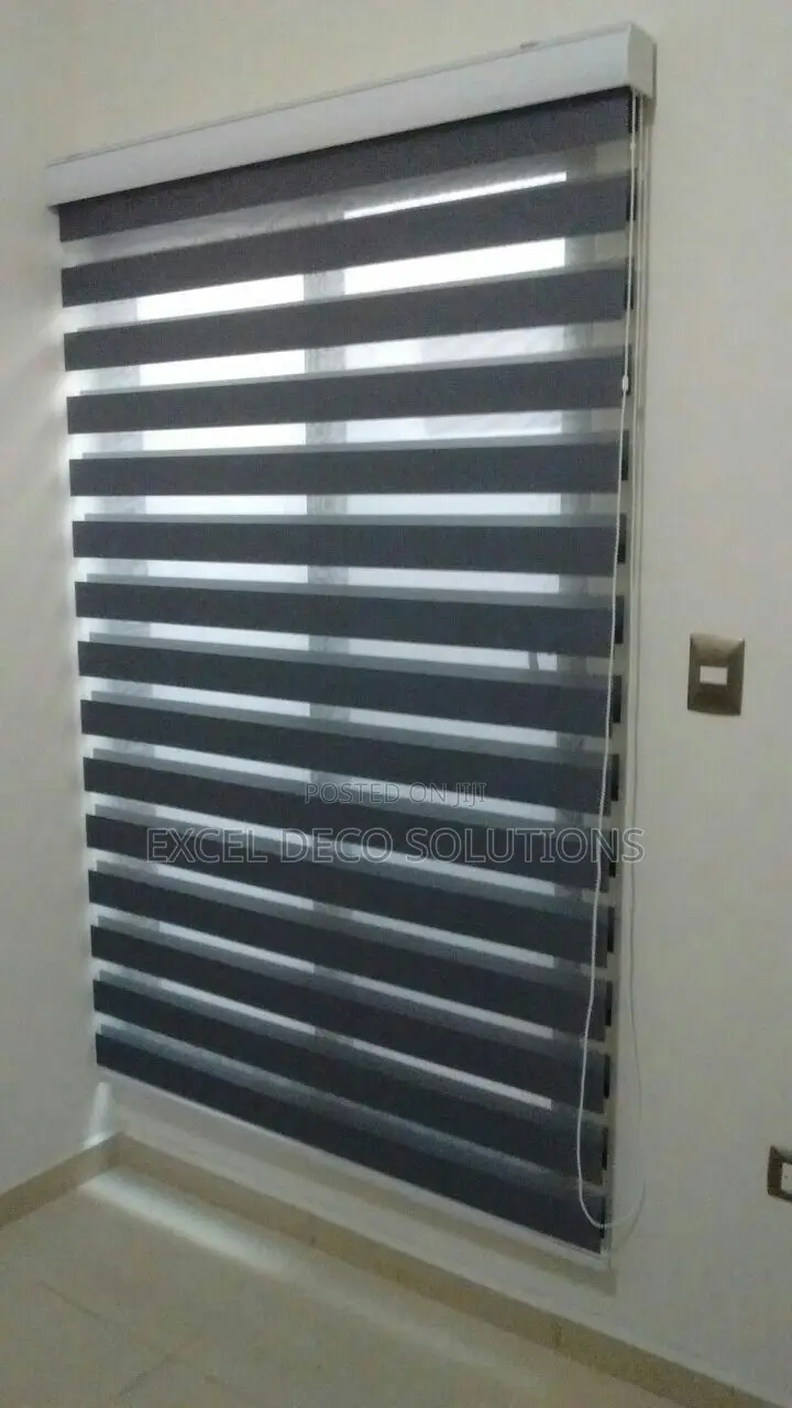 Zebra Blinds for Apartment, Office and Modern Window Covering Use