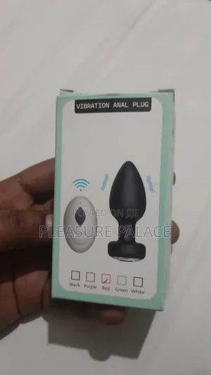 Remore Control Anal Plug
