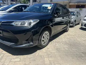 Toyota Corolla Fielder 2019 Black