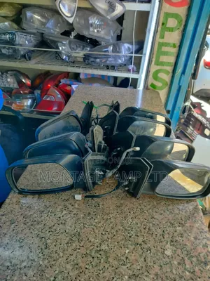 Sidemirror Probox