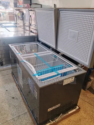 Roch 2door Deep Freezer