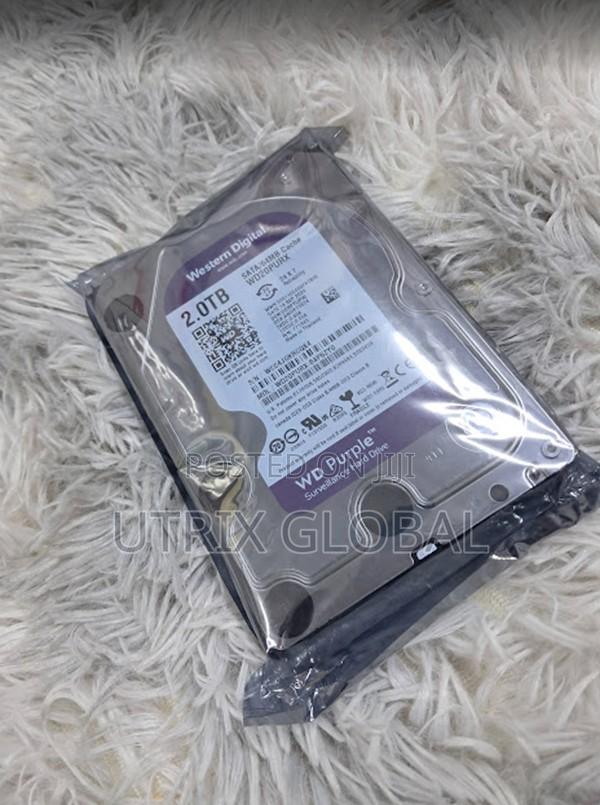 2tb Wd Surveillance HDD for Continuous Video Recording