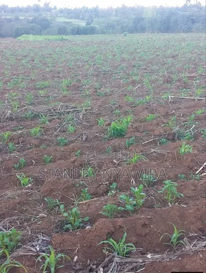2 Acres Nanyuki Daiga