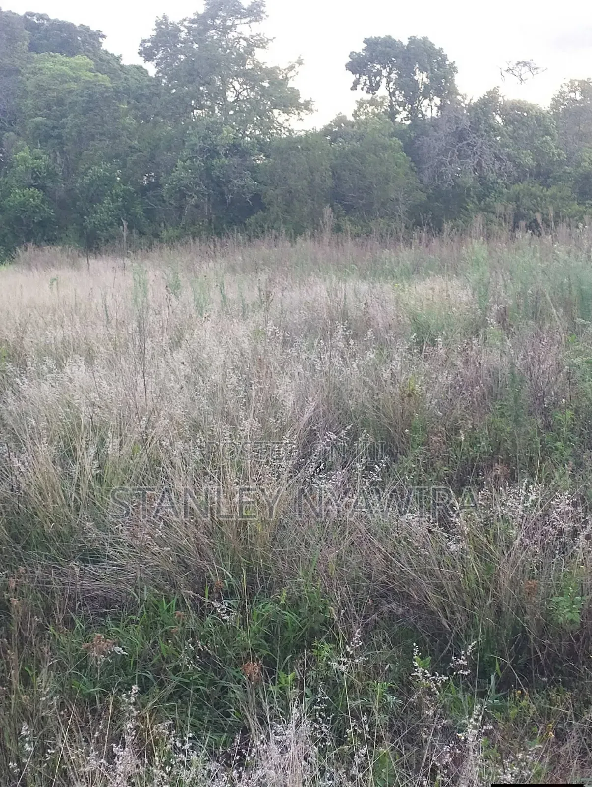 2 Acres Nanyuki Daiga