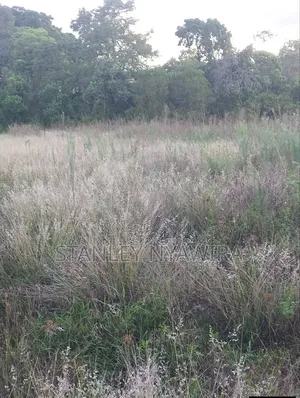 2 Acres Nanyuki Daiga