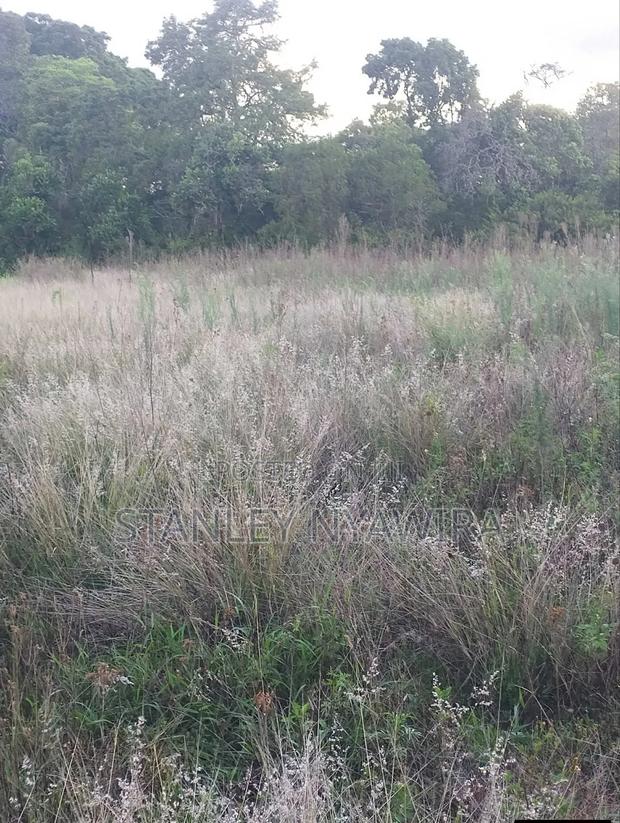 2 Acres Nanyuki Daiga - thumbnail 5