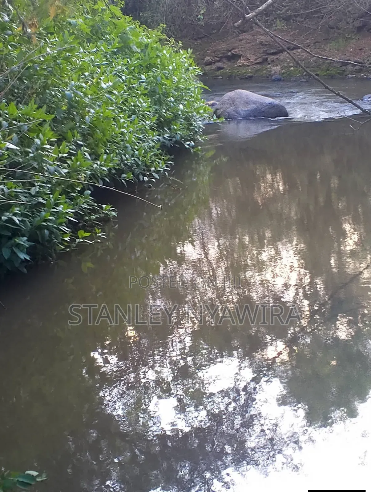 2 Acres Nanyuki Daiga
