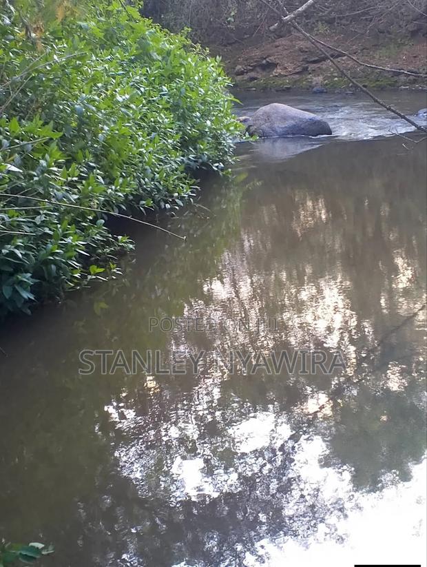 2 Acres Nanyuki Daiga - thumbnail 6