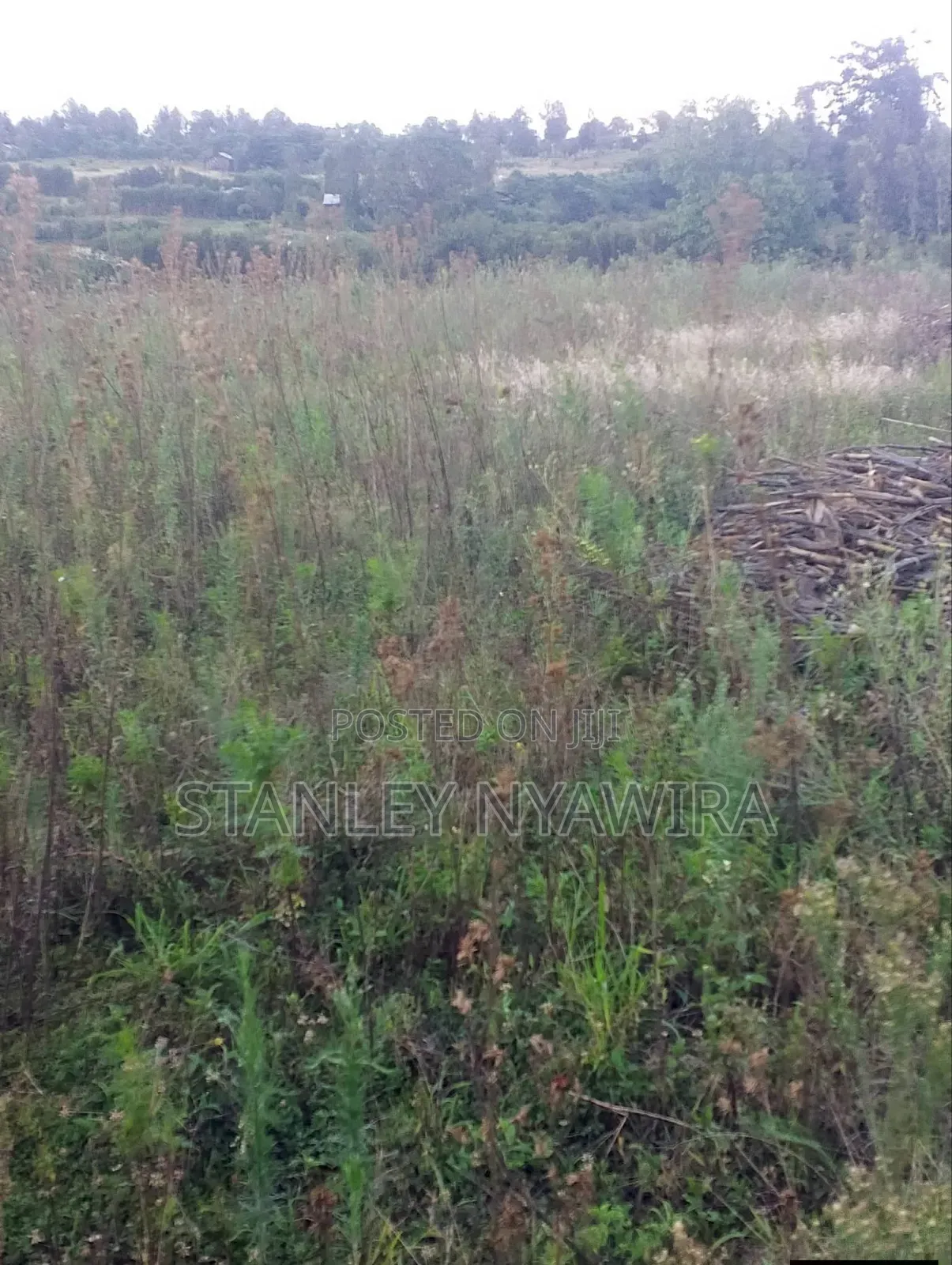 2 Acres Nanyuki Daiga