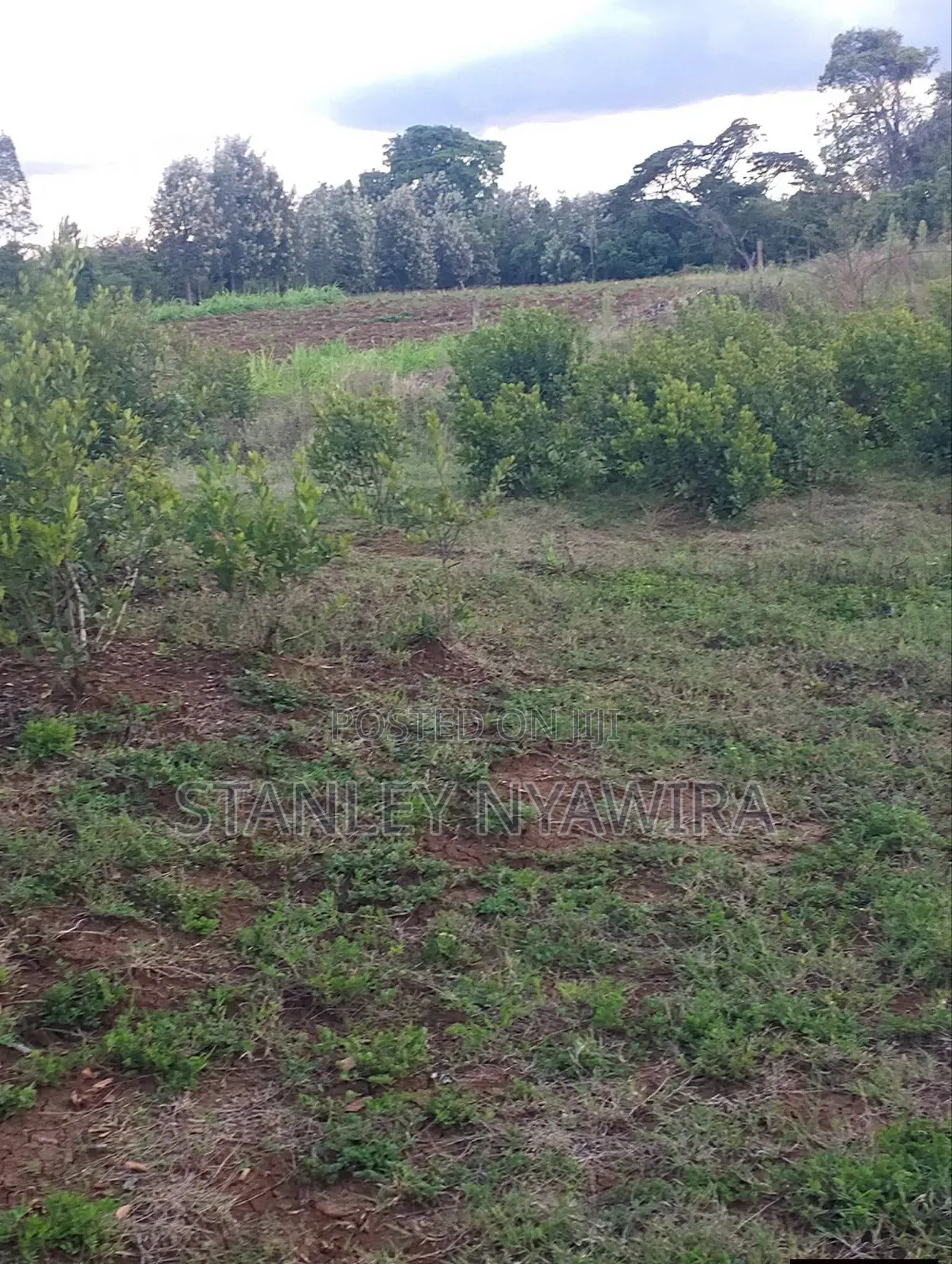 2 Acres Nanyuki Daiga